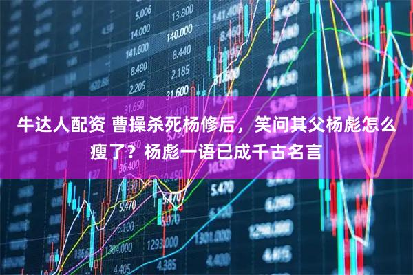 牛达人配资 曹操杀死杨修后，笑问其父杨彪怎么瘦了？杨彪一语已成千古名言