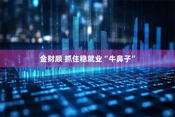 金财顺 抓住稳就业“牛鼻子”